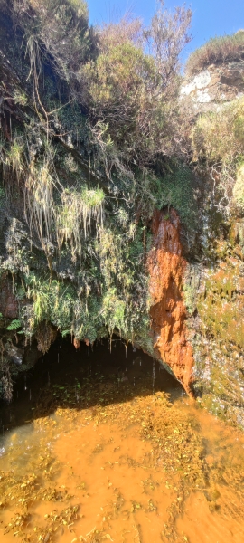 Adit entrance